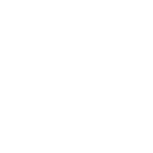 Perplexity